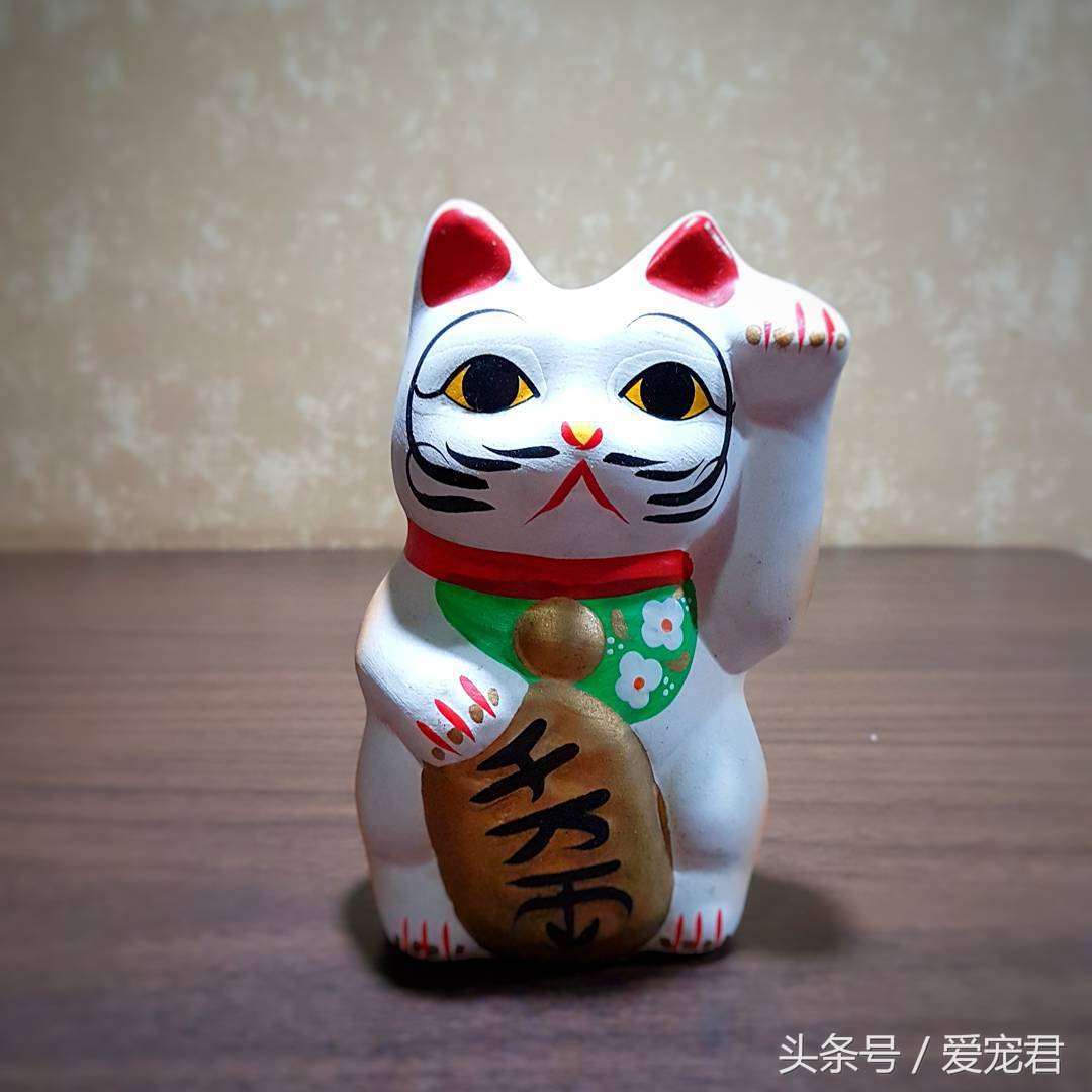 萌猫趣事：民间传说中的几大吉祥猫咪