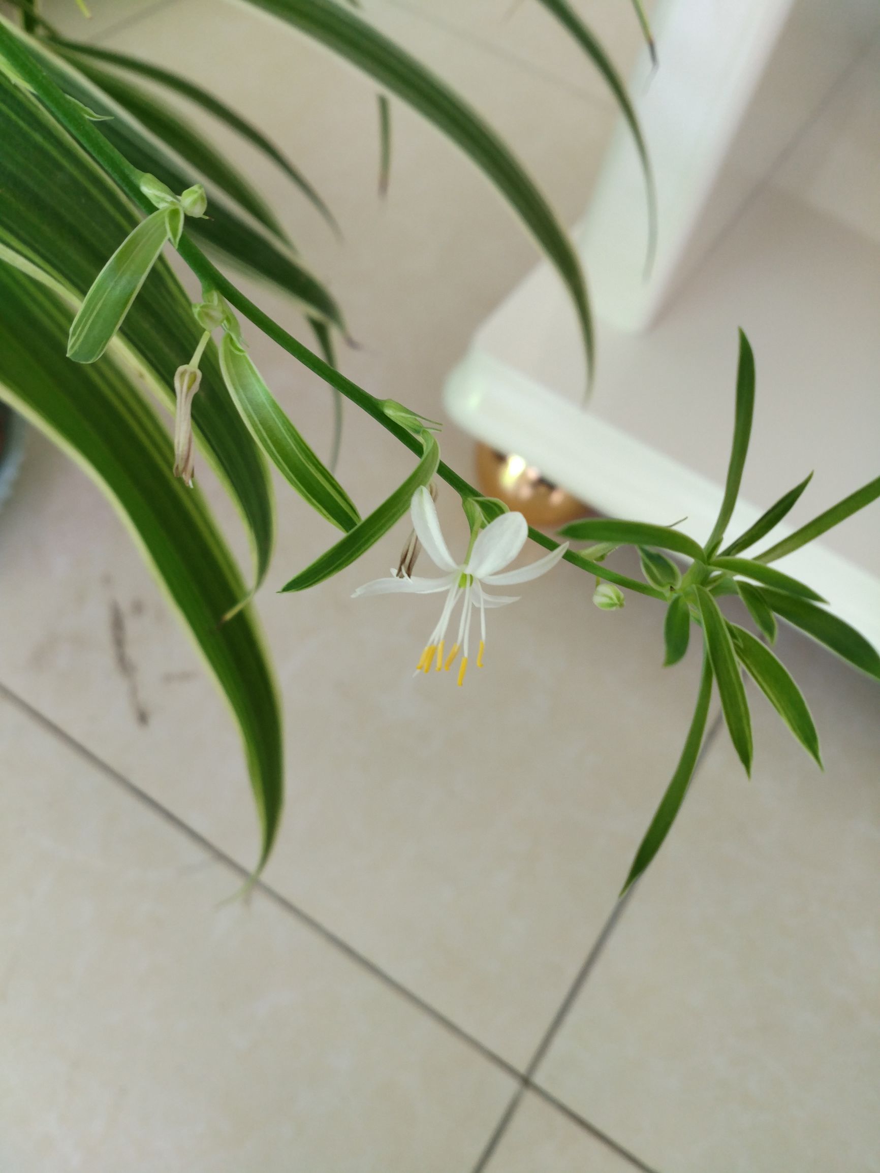 时光荏苒如流水，岁月静好现眼前