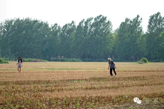 头子是什么意思（糟老头子是什么意思）-第7张图片-科灵网