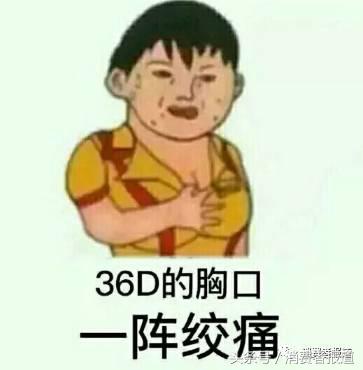 奧迪車內(nèi)異味問題是怎么變成“老大難”的？