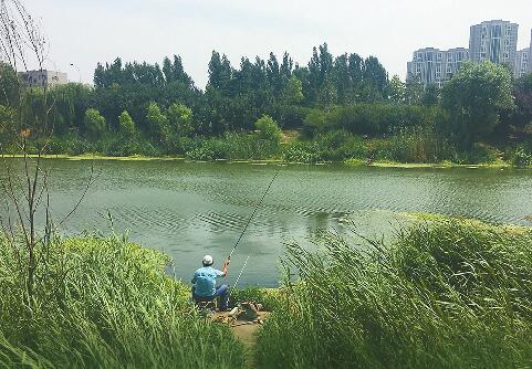 今日简讯丨山东高考录取进程表来了！今天就能查分了！