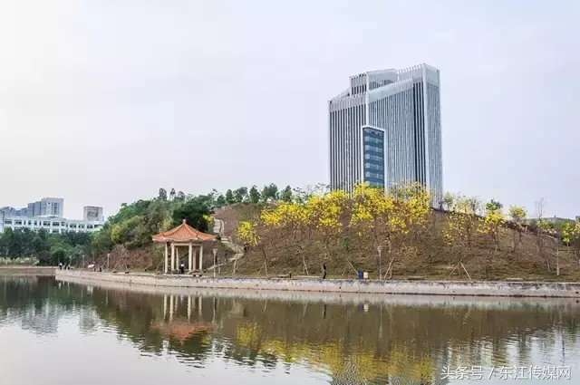 千万不要来惠州学院上大学，我是认真的！