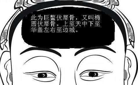 相术解析：骨相图解大全