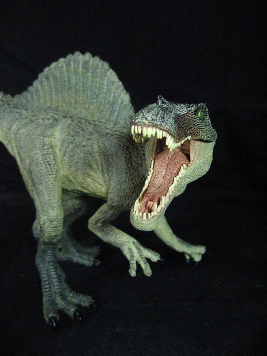 理理恩龙图片(法国和德国等地最大的肉食性恐龙之一)