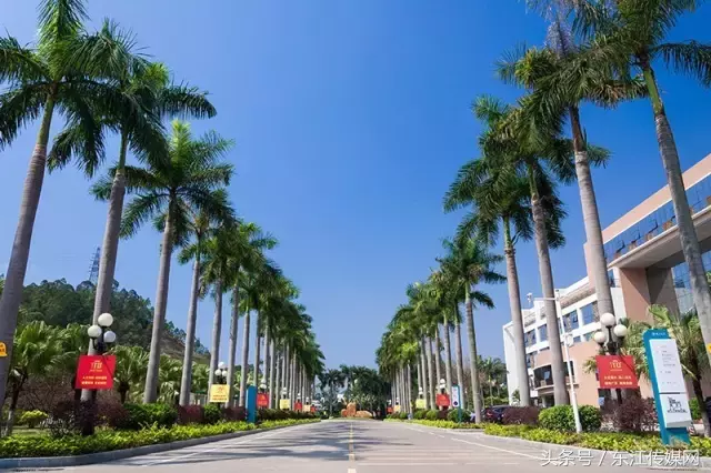 千万不要来惠州学院上大学，我是认真的！