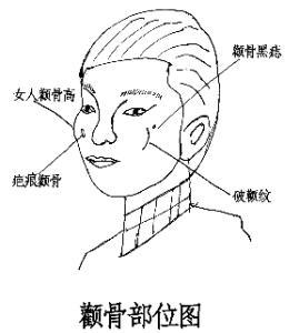 相术解析：骨相图解大全