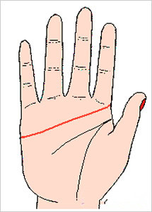 手相解析：感情线类型图文详解