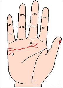 手相解析：感情线类型图文详解