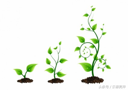 3天就能把灰指甲治疗好？快来看看