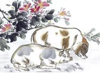这三大生肖女一生有惊无险，平安是福