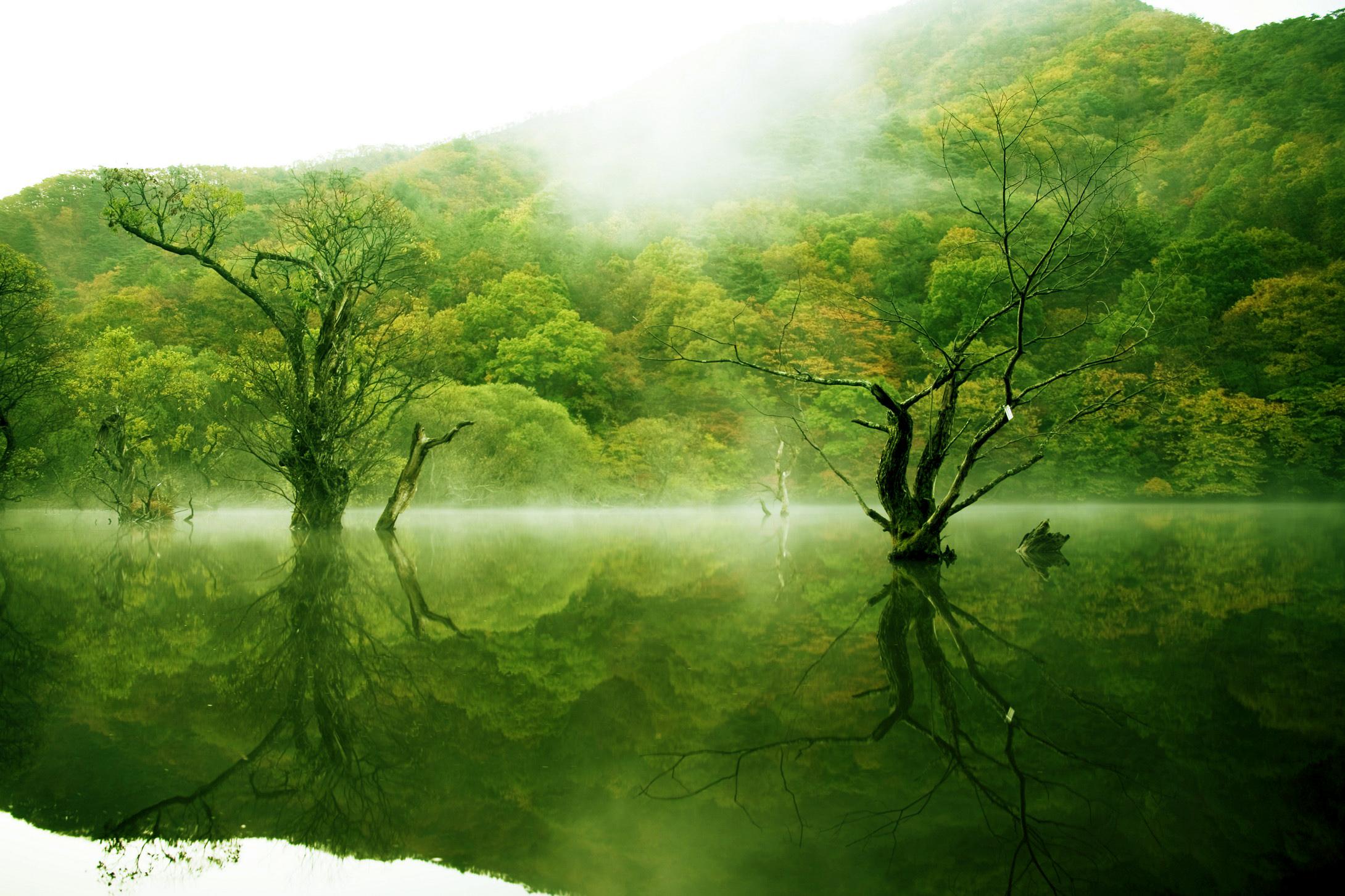 盛夏：蝉噪林逾静，鸟鸣山更幽