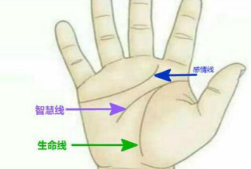 生命线断开或者分叉代表什么,会出事吗?