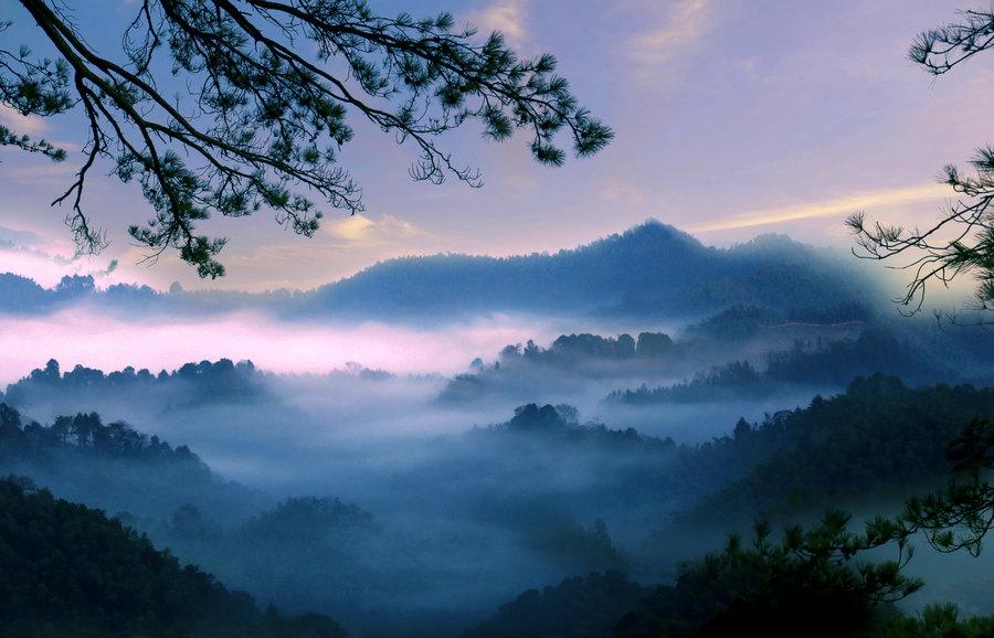 盛夏：蝉噪林逾静，鸟鸣山更幽