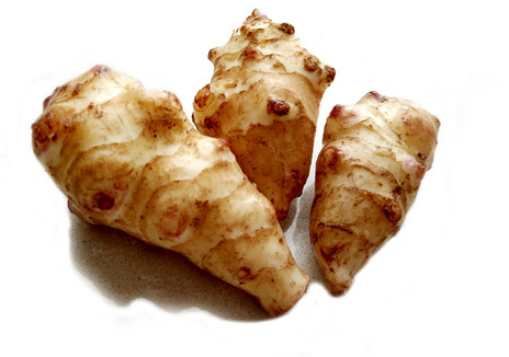 洋姜有什么功效与作用 四种人不能吃洋姜-蟋蟀号,争做互联网的一股