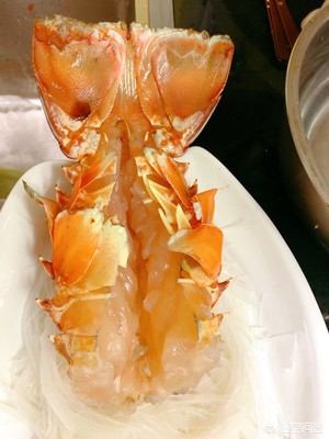 澳洲龙虾做法（美味蒜蓉澳洲大龙虾简单做法分享）
