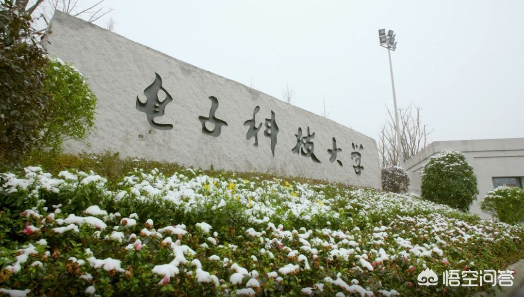 电子科技大学，在985里面处于什么样的地位？学长：就业全国前十