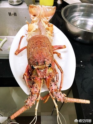 澳洲龙虾做法（美味蒜蓉澳洲大龙虾简单做法分享）