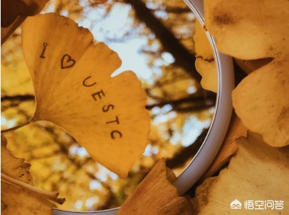 电子科技大学，在985里面处于什么样的地位？学长：就业全国前十