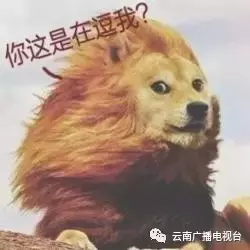 一夜之间20辆车被砸！小编用亲身经历提示各位车主们：停放爱车时这几点一定得注意
