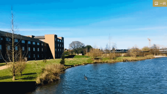 在华威大学就读WMG学院是一种怎样的体验