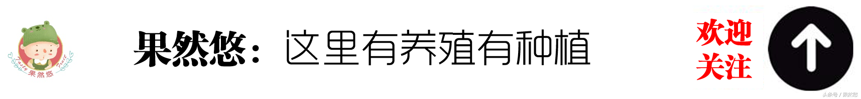 今年的驴皮这么值钱，你有没有蠢蠢欲动？来算一笔养驴的涨！