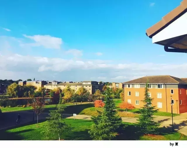 在华威大学就读WMG学院是一种怎样的体验