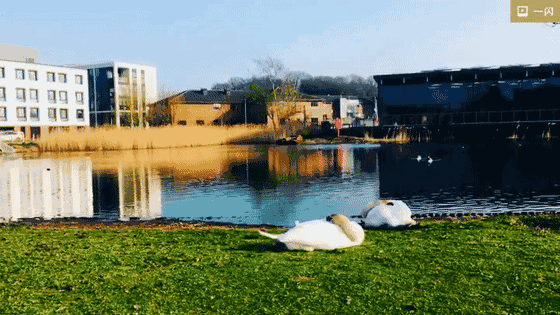 在华威大学就读WMG学院是一种怎样的体验