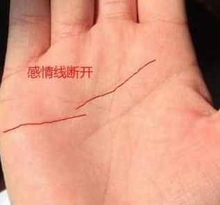 手相"凤眼纹",是典型的旺夫女人,男必有钱,婚姻注定越来越幸福,夫妻越