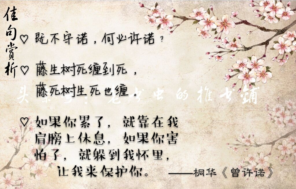 古言佳句赏析，美到心痛的句子~