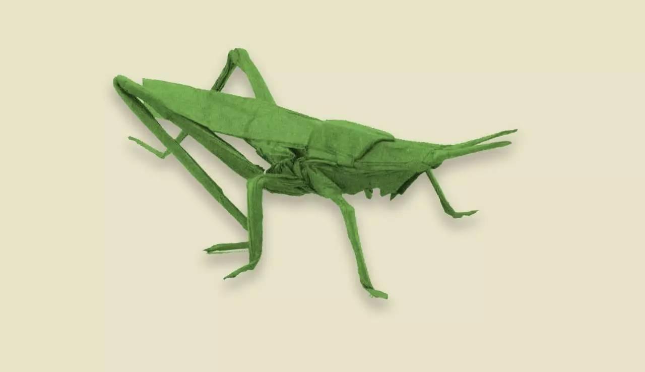 折蚂蚱高考能降60分！我可不敢藏私，赶紧献出教程