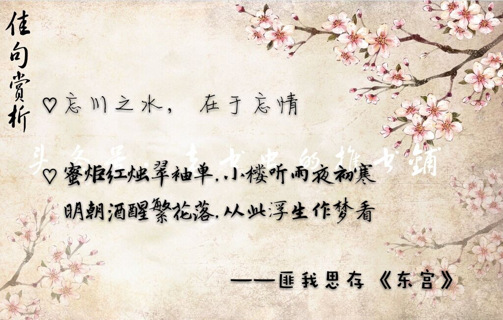 古言中令人心疼的经典语句：穿越时空的悲欢与无奈