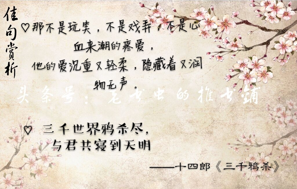 古言佳句赏析，美到心痛的句子~
