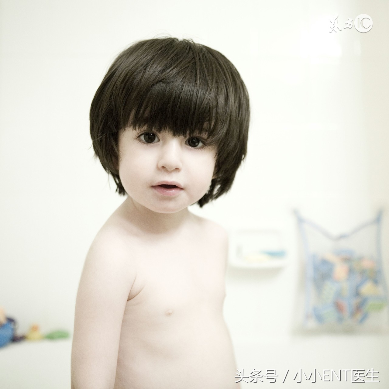 我是你的“鼻屎”，我的前世今生你知道吗？还是让我来自我介绍一下吧