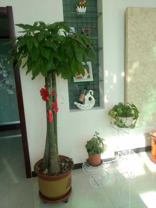 婆家700㎡农村自建房，欧式卧室竟放张土炕，农村人就是土？