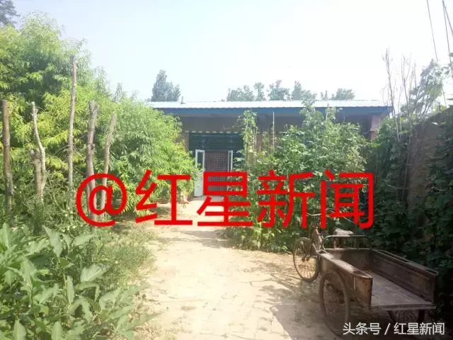 684分上清华农村娃庞众望的状元密码：轮椅上的文盲母亲