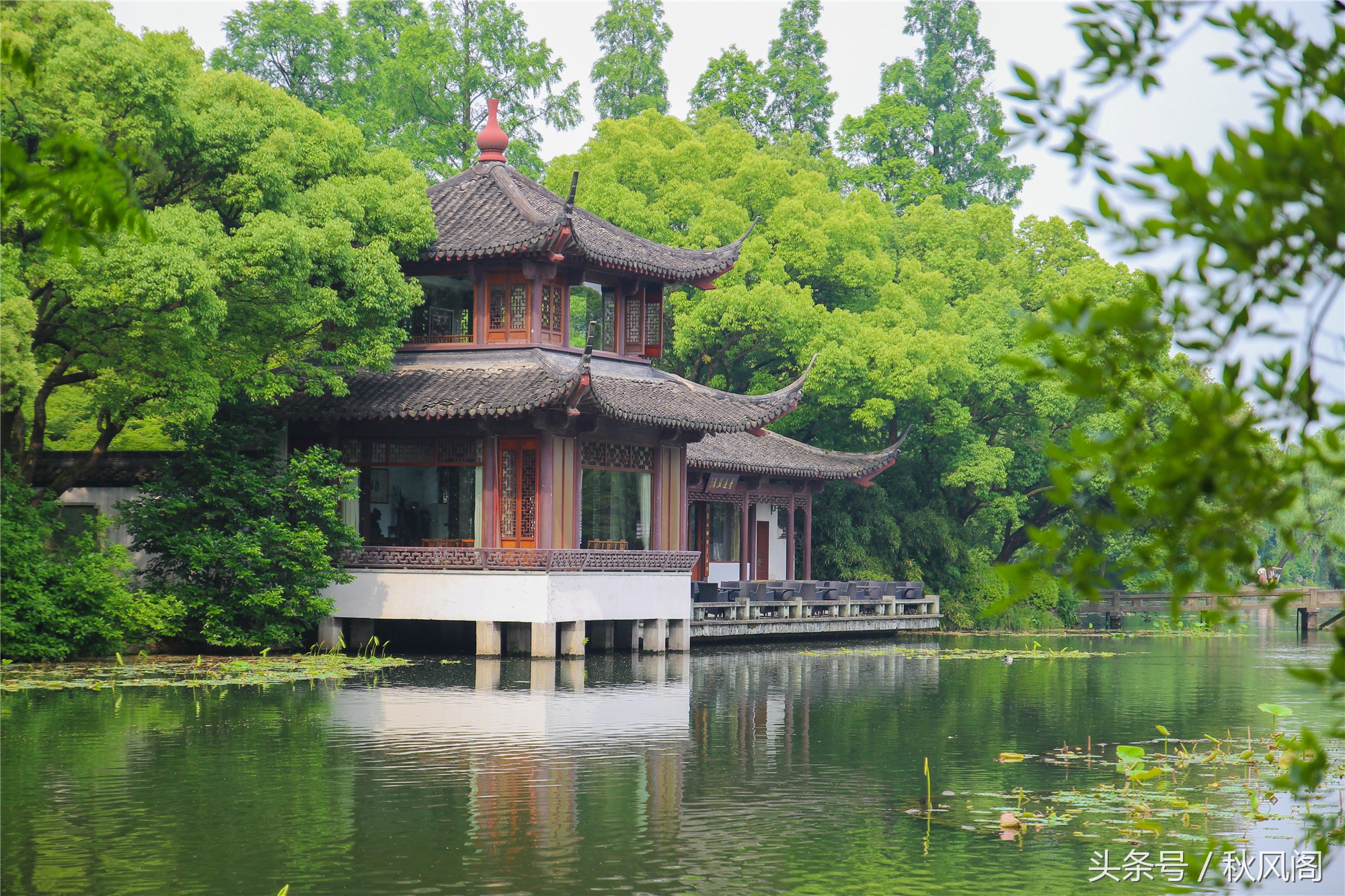 西湖风景天下闻名在曲院风荷我们吟诵着什么_杭州曲院风荷景点介绍