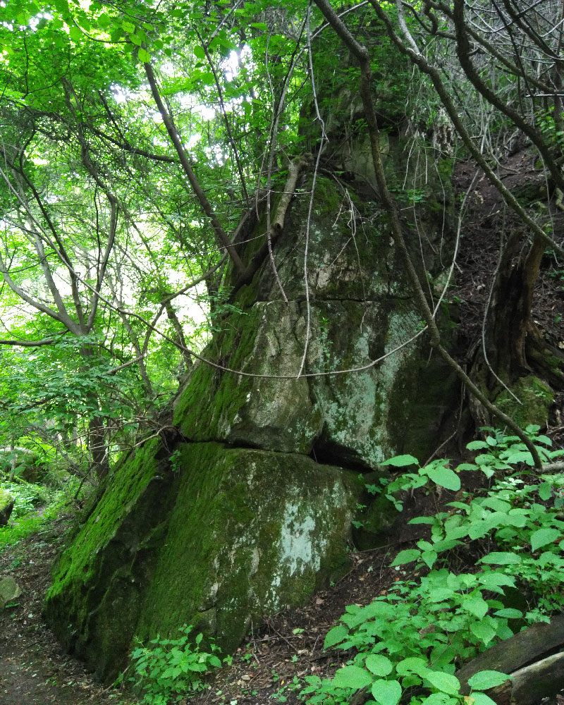 沣峪口九龙潭森林景区图片