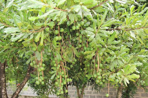 适合晚婚且一生婚姻难顺的命