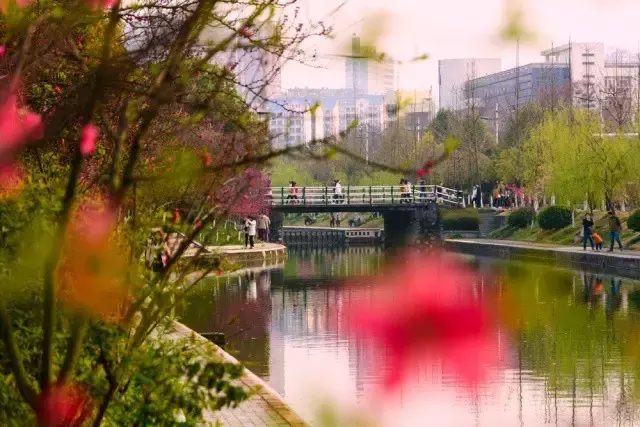 三峡大学最美录取通知时正在派送中，请注意查收