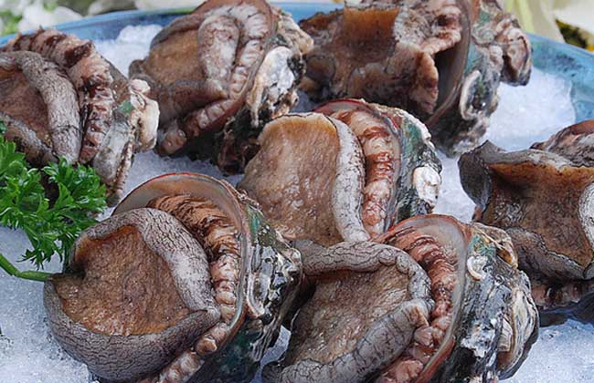 鮑魚怎么殺和清洗,如何殺鮑魚清洗鮑魚