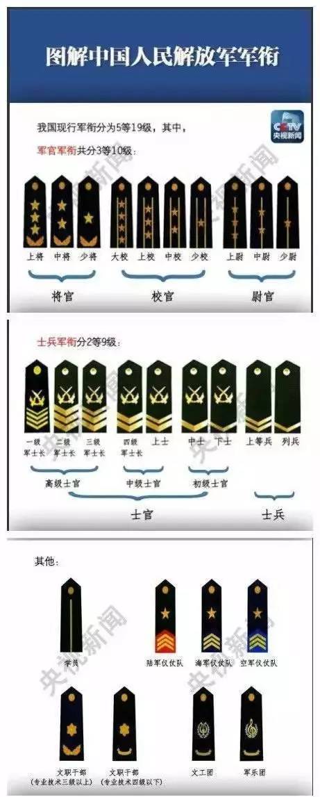 军衔等级肩章排列图片 军队军衔对应级别图 