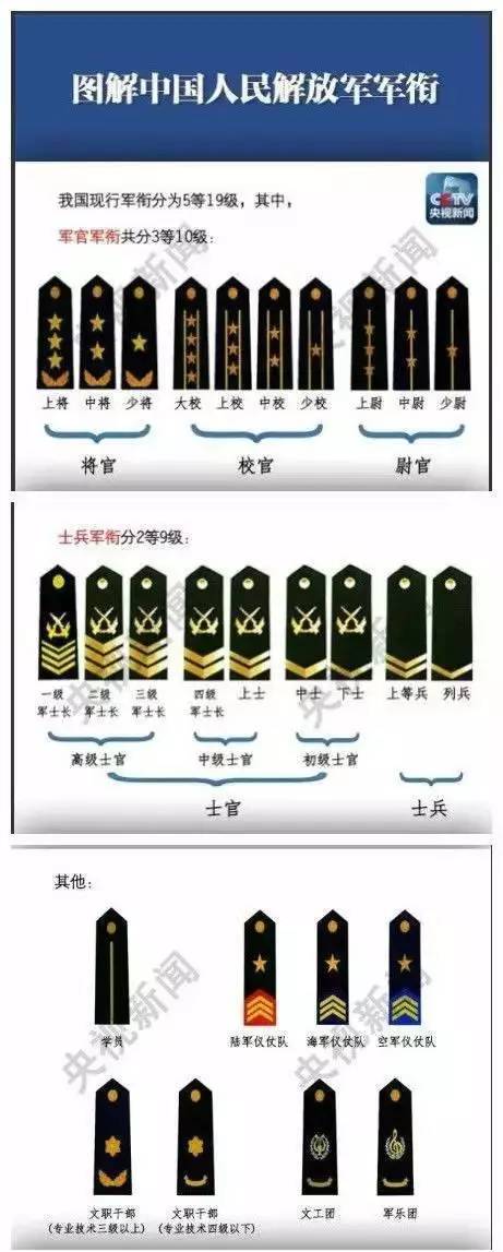 軍銜等級肩章排列圖片 軍隊軍銜對應級別圖 - 春風號