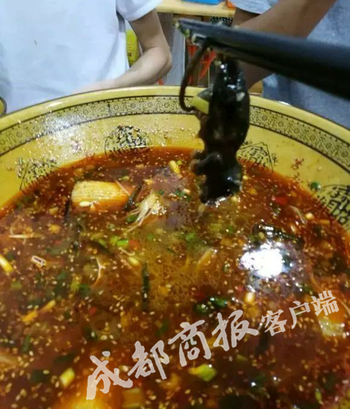 正阳汽车站周边夜间服务信息曝光