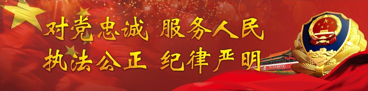 丽水交警网违章查询,丽水交警网违章查询网站