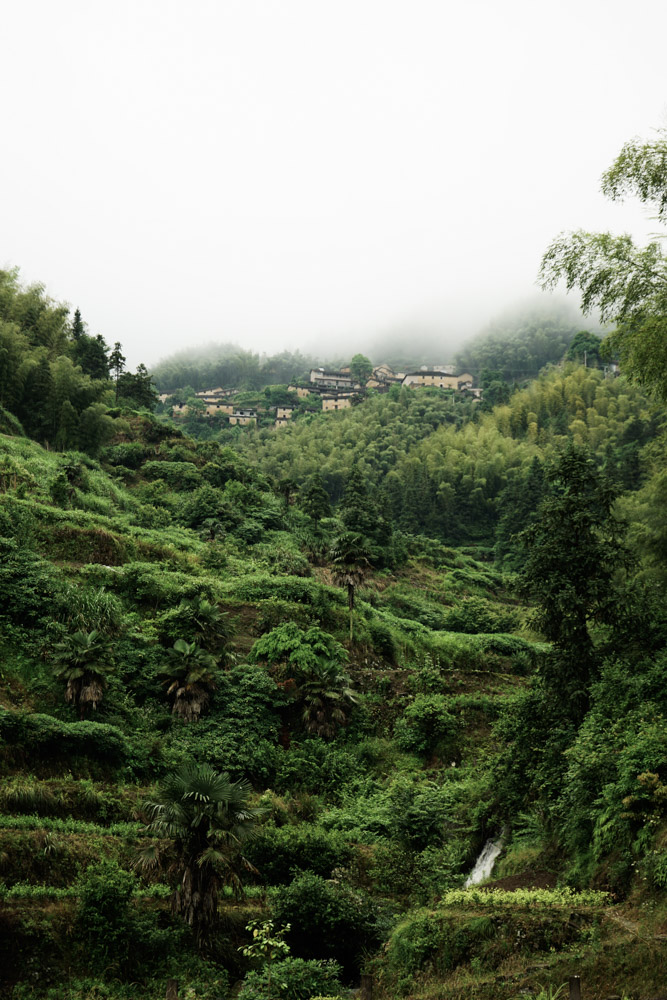 梅雨江南：从杭州到皖南 |路上