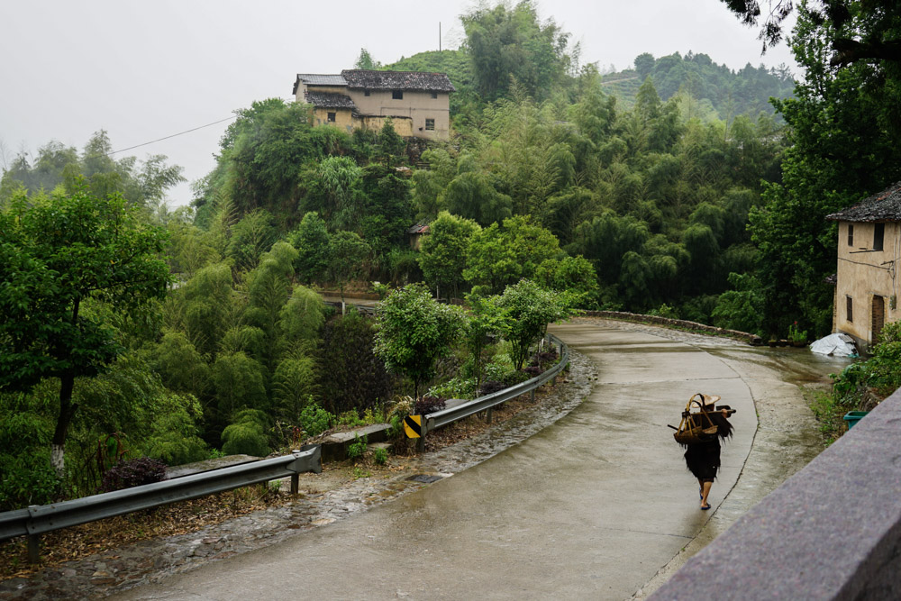 梅雨江南：从杭州到皖南 |路上