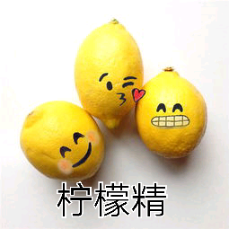 柠檬精是什么意思 亲爱的柠檬精第一部-百联百科