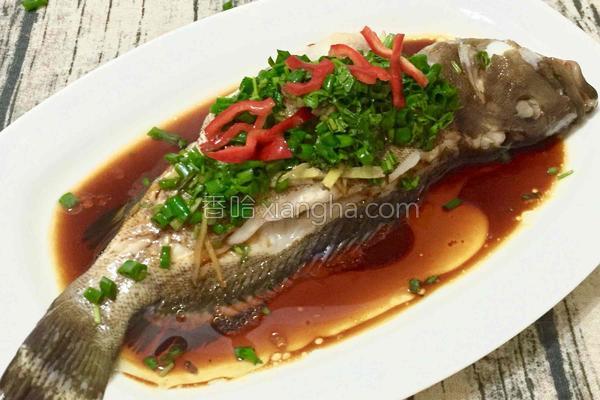 清蒸石斑魚 菜系,清蒸石斑魚的正宗做法