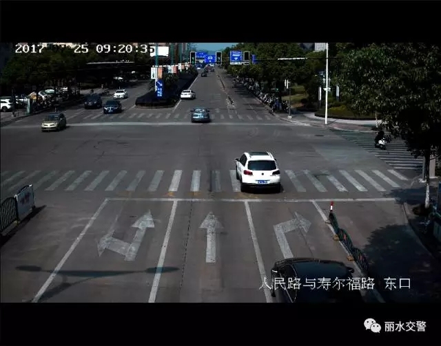 丽水交警网违章查询,丽水交警网违章查询网站