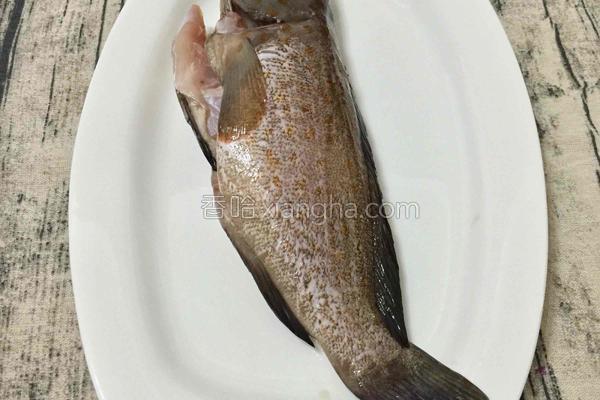 清蒸石斑魚 菜系,清蒸石斑魚的正宗做法